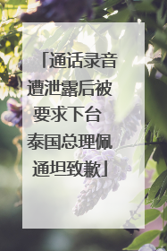 通话录音遭泄露后被要求下台 泰国总理佩通坦致歉